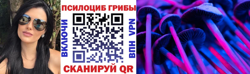 Псилоцибиновые грибы Psilocybine cubensis  где купить   Зея 
